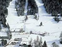 Attivit&agrave; / Licenza in vendita a Folgaria(TN)