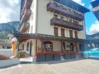 Attivit&agrave; / Licenza in vendita a Forni di Sopra(UD)