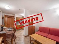 Appartamento in vendita a Campodolcino(SO)