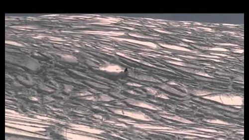 Freeride a prali.m4v