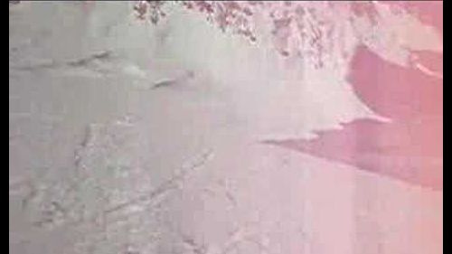 Sella Nevea - Cristian