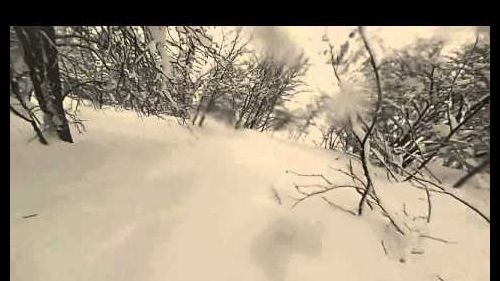 Toms arabba aventures