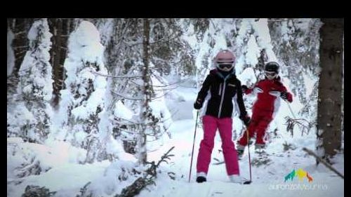 Auronzo misurina - naturalmente inverno