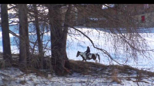 A cavallo a livigno - inverno 2014/2015