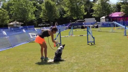 Image uki canada open 2015 biathlon agility