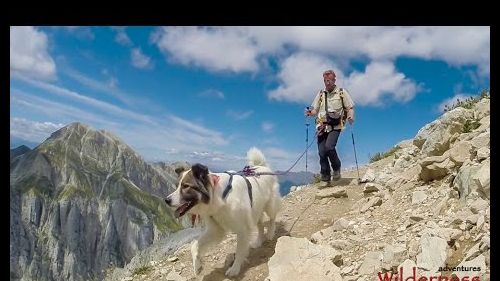 Dog trekking al gran sasso: la traversata della val maone