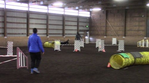 Chip biathlon jumpers 1.31.16