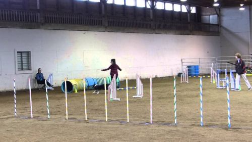 Cruz - usdaa biathlon