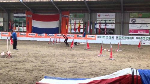 Copy of jumpers biathlon