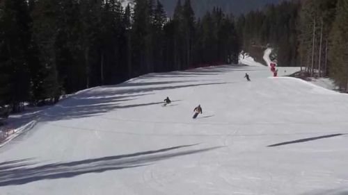 Camigliatello esercitazione ricerca persone disperse