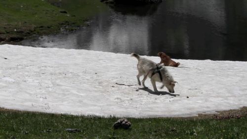 Fulmine e kali? sulla neve in valgrisenche