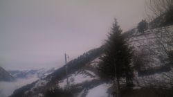 Pequerel Fenestrelle