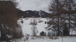 Trivigno Monte Patrio 2152 m.