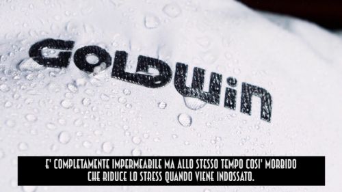 Goldwin titan jacket 2017/2018
