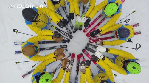 Trailer neveitalia buyer's guide 2018 2019