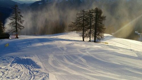 Domobianca  17 gennaio 2017