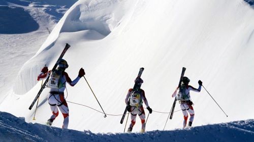 credit: Riccardo Selvatico
Areaphoto