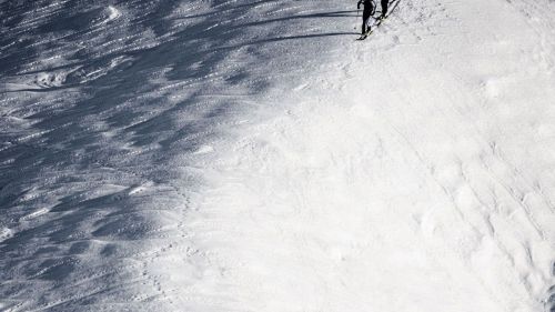 credit: © Alessandro Belluscio