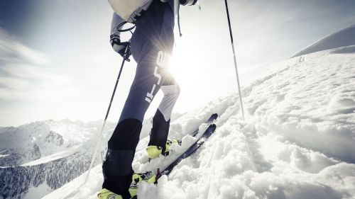 credit: © Alessandro Belluscio