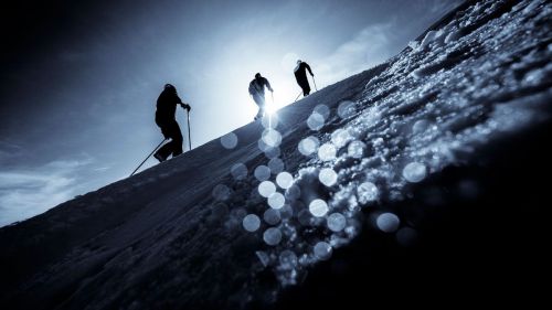 credit: © Alessandro Belluscio