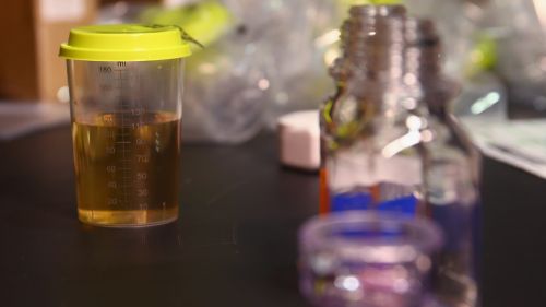 Turnover fra gli uomini nell'Italia del biathlon per Hochfilzen; confermate le 4 donne