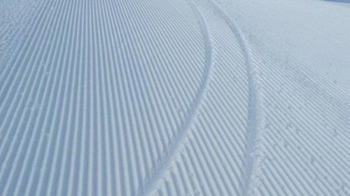 204d786c Cc29 44ef 877c C2c9df57bbf3