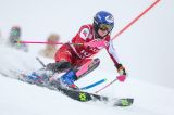 I 16 austriaci convocati per Levi: Liensberger e Truppe per il team in rosa, Schwarz vuole tornare in vetta anche in slalom